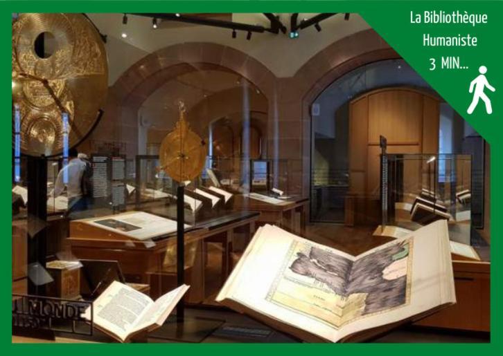 Ferienwohnung Aux Plaisirs D'Alsace Centre Historique Sélestat Exterior foto